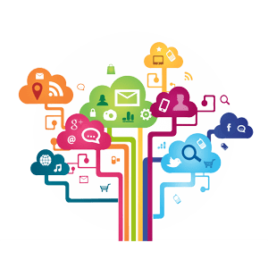 social network social network