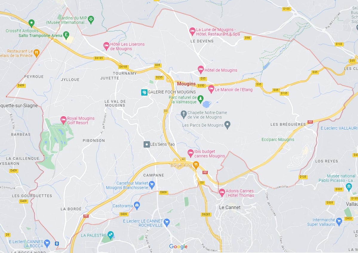 Carte Nice geolocalisation 