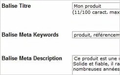 referencement-powerboutique-meta