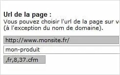 referencement-powerboutique-urls