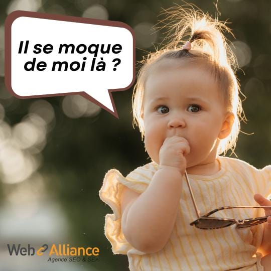 client agence seo nice
